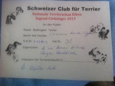  1 Jugend-Clubsieger Diplom Nationale Terrierschau in Eiken 30.6.13 